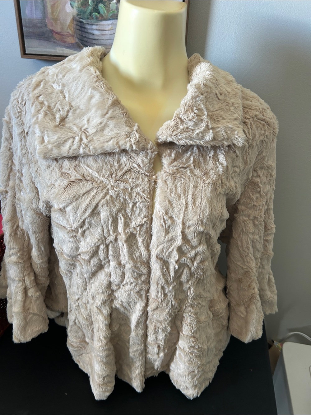 Solitaire Plush Faux-Fur Teddy Jacket in Light Beige